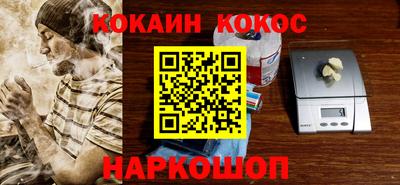 гашик Кингисепп