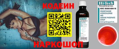 гашик Кингисепп