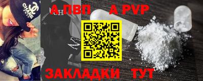 гашик Кингисепп