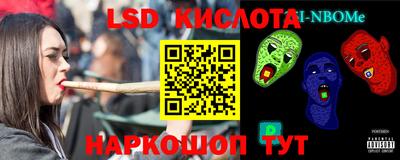 гашик Кингисепп