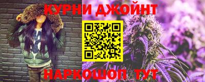 гашик Кингисепп