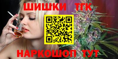 гашик Кингисепп