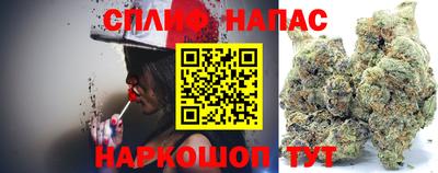 гашик Кингисепп