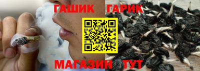 гашик Кингисепп