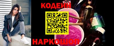 гашик Кингисепп