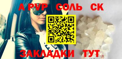 гашик Кингисепп