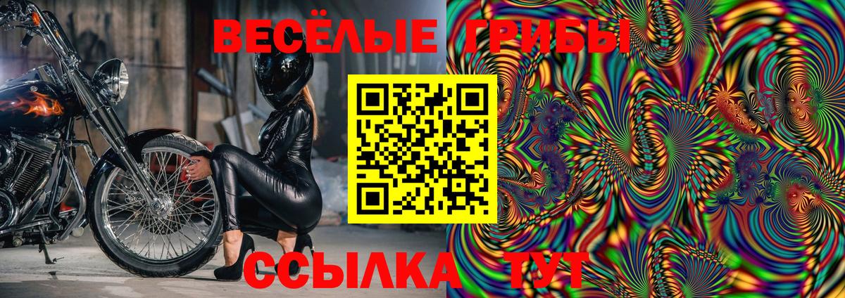 Галлюциногенные грибы GOLDEN TEACHER Орск